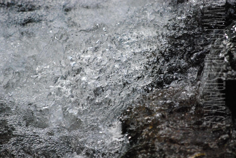 DSC_0911.JPG
